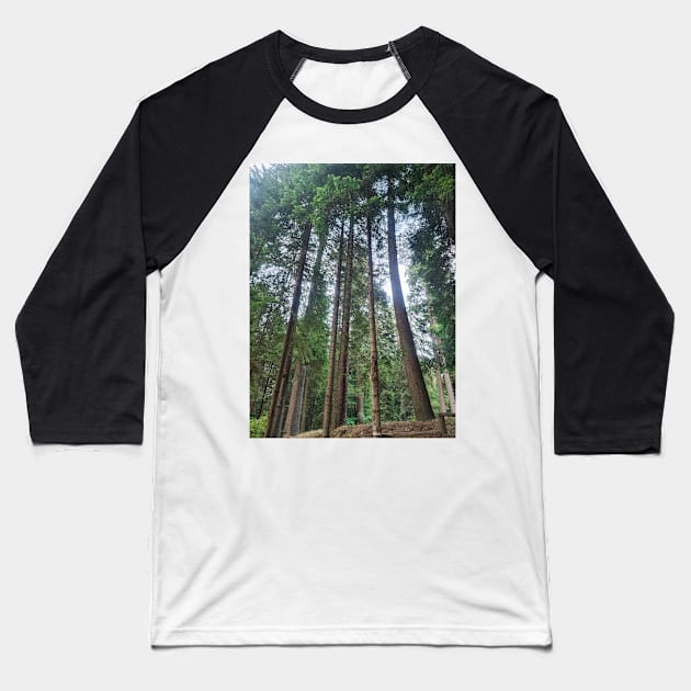 Pine Tree Forest Baseball T-Shirt by Anastasia-03